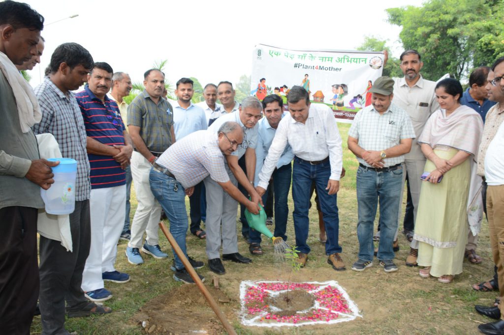 Director CSSRI planting tree during Van Mahotsav 2025