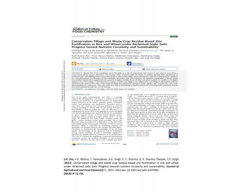 Conservation Tillage and Waste Crop Residue Based Zinc fortification in rice and wheat