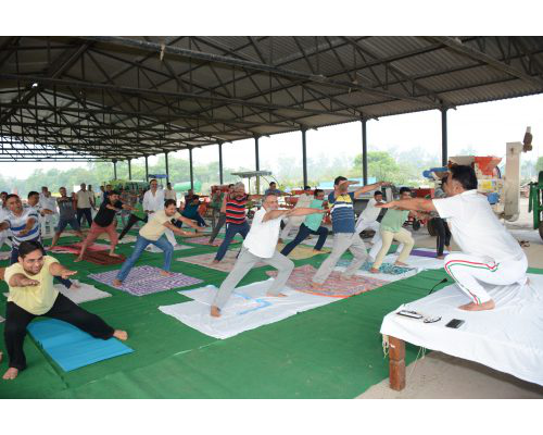 Organised`International Yoga Day’ on 21st June 2019 at CSSRI, Karnal