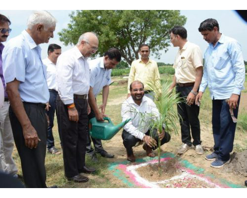 Organised `Van Mahaostav’ at CSSRI Karnal on 8th August 2019