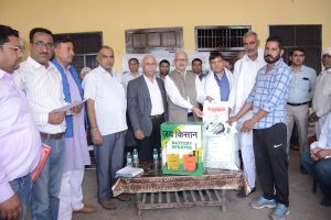 Field Day on Wheat at vill Sampli Kheri